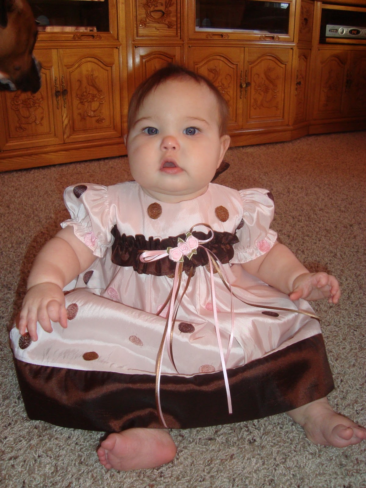 1st birthday princess dresses