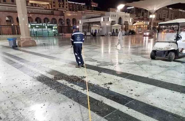 MADINA'S GRAND MOSQUE INFESTED WITH BLACK CRICKETS & SWARMS