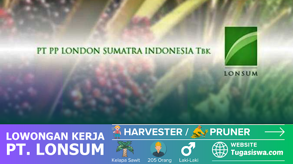 Lowongan Kerja Harvester dan Pruner - PT. PP London Sumatera Indonesia Tbk