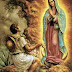 ORACIÓN A LA VIRGEN DE GUADALUPE PARA LAS ESPOSAS Y ESPOSOS,