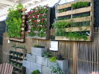 Thiết kế vườn rau trên tường đẹp và đơn giản