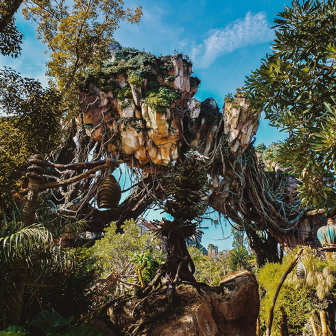 Pandora: The World of Avatar at Animal Kingdom | Editing Luke