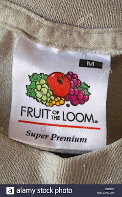 fruit of the loom sweatshirt