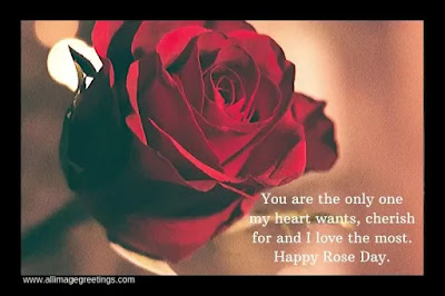 rose day quotes for husband