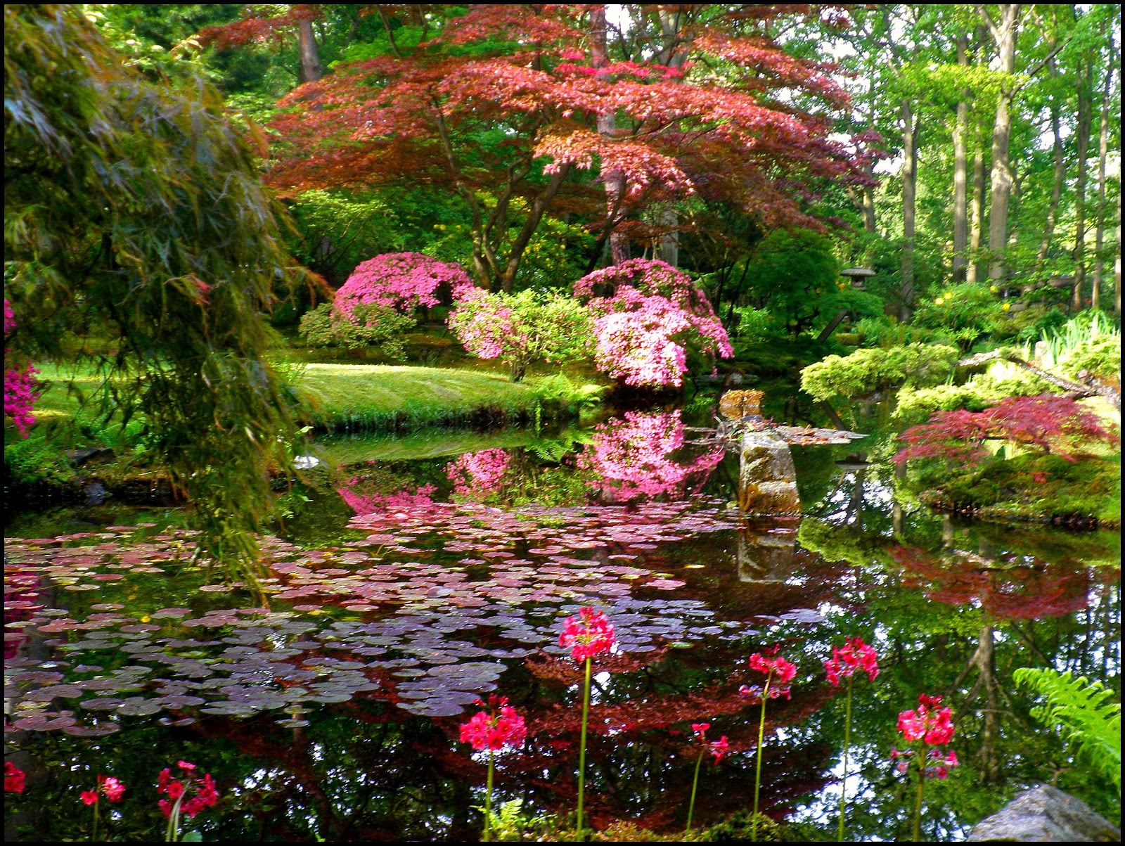 Japanese Zen Garden: Japanese Garden - The Hague