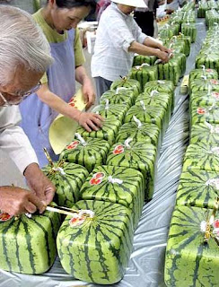 Cube Watermelon