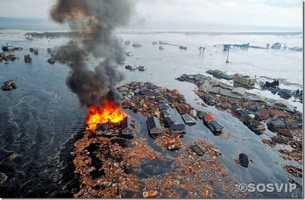 Tsunami Japao Terremoto.jpg (6)