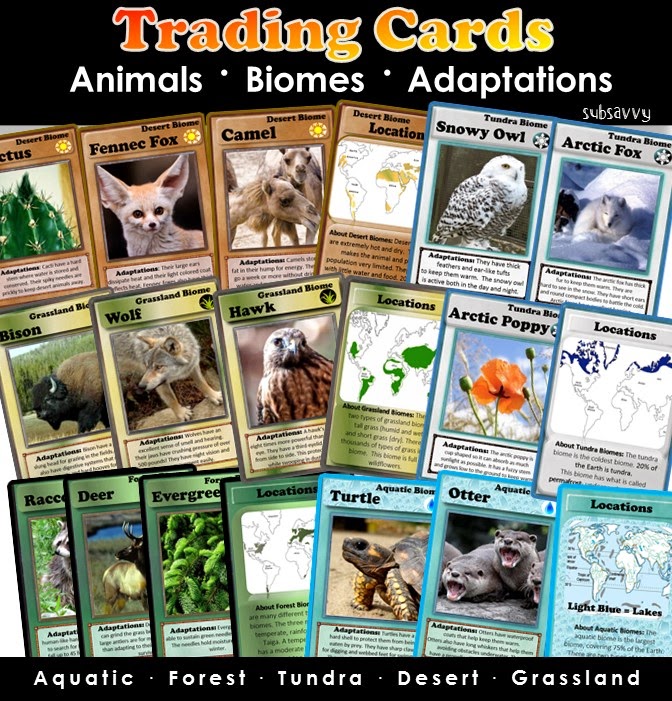 http://www.teacherspayteachers.com/Product/Biomes-Trading-Cards-1328020