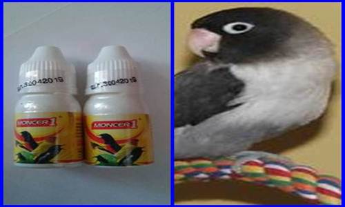 http://miefbird.blogspot.com/2017/03/daftar-harga-vitamin-burung-lovebird.ht