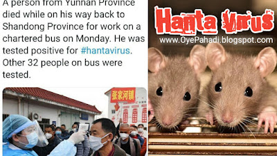 New virus HantaVirus found