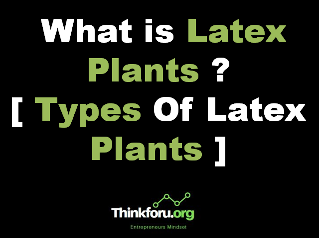 Cover Image Of What is Latex Plants ? [ Types Of Latex Plants ]