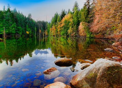 Lago de aguas cristalinas junto al bosque de pinos verdes