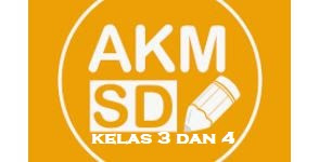 Download Soal AKM Literasi dan Numerasi Kelas 3 dan 4 (Level 2 )