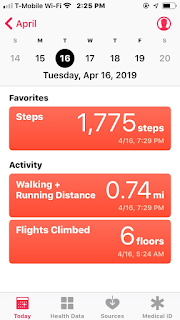 Health app in Terry's Phone Recording Elevation (Flights of Stairs)