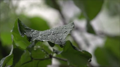 One of the amazing things most wearisome motility footage 1 Clip is Raining Supreme