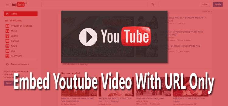 Embed Youtube Video with URL Only | Zona Hentongerz