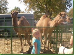 Hailey 2011