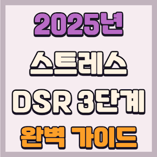 스트레스 DSR 3단계