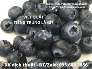 Quả việt quất tiếng Trung là gì?