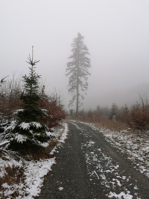 Sauerland wandern Wetter blog Bestwig