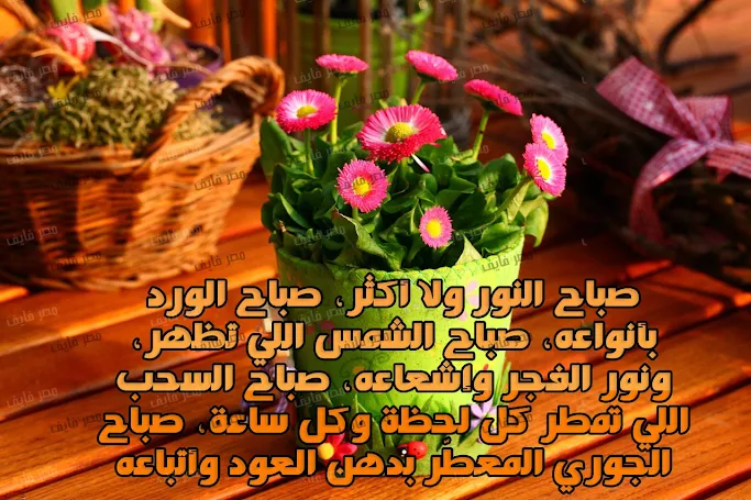 صور عن الصباح