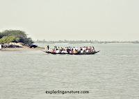 Sundarban National Park