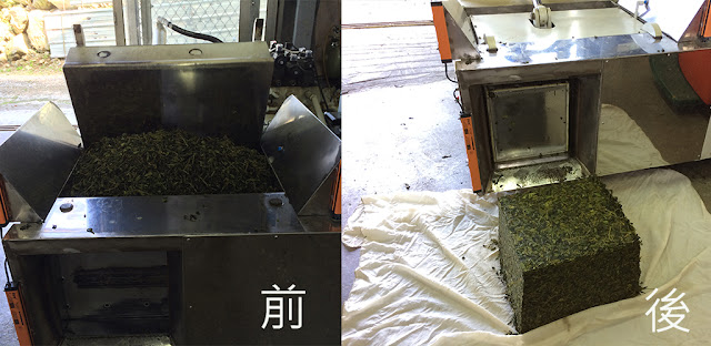 2016鹿谷春茶