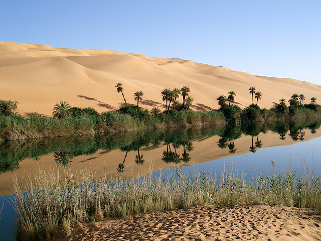 Fabulous Oasis in The Libyan Sahara