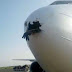 Bird is lodged in plane's nose cone after colliding with it as it came in to land 