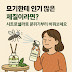 모기한테 인기 많은 체질이라면? 시트로넬라로 분위기부터 바꿔보세요!