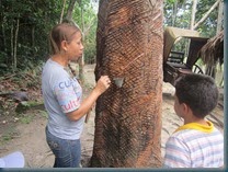 Museo do Seringal. (11)