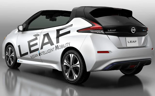 Nissan Leaf Open Car