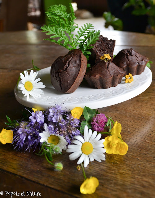 Muffins au chocolat parfumés à la tanaisie - IG bas © Popote et Nature