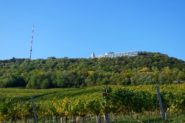 vienne stadtwanderweg chemin randonnée urbaine 1 kahlenberg