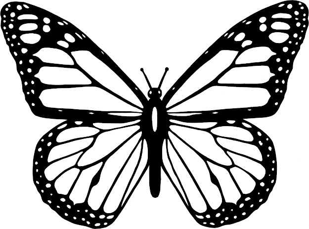  Monarch Butterfly Coloring Page Butterfly Color Page New Coloring  Brockportcc Free Online 