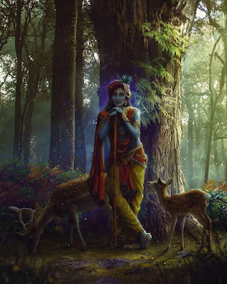 Krishna Images