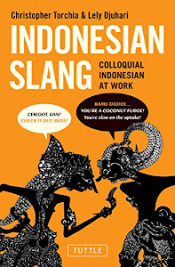 Indonesian Slang: Colloquial Indonesian at Work