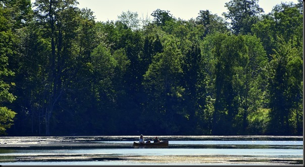 DSC_2784