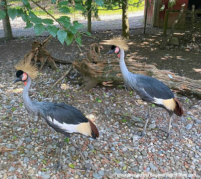 Lake Tobias Wildlife Park in Halifax, Pennsylvania 