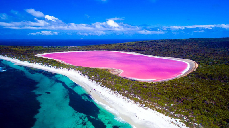 This Hot Pink Lake in Australia Is a Mystery