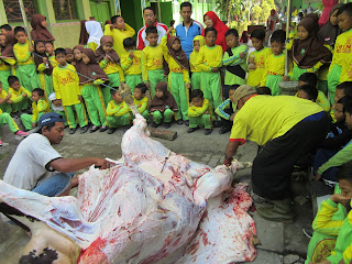 Pemotongan sapi kurban