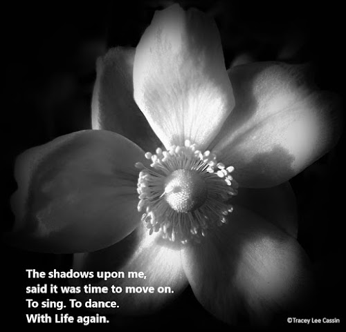 Black and white flower quote