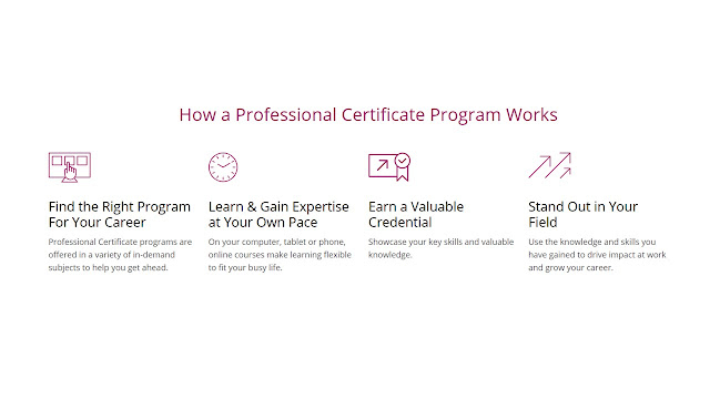 Professional Certificate edx