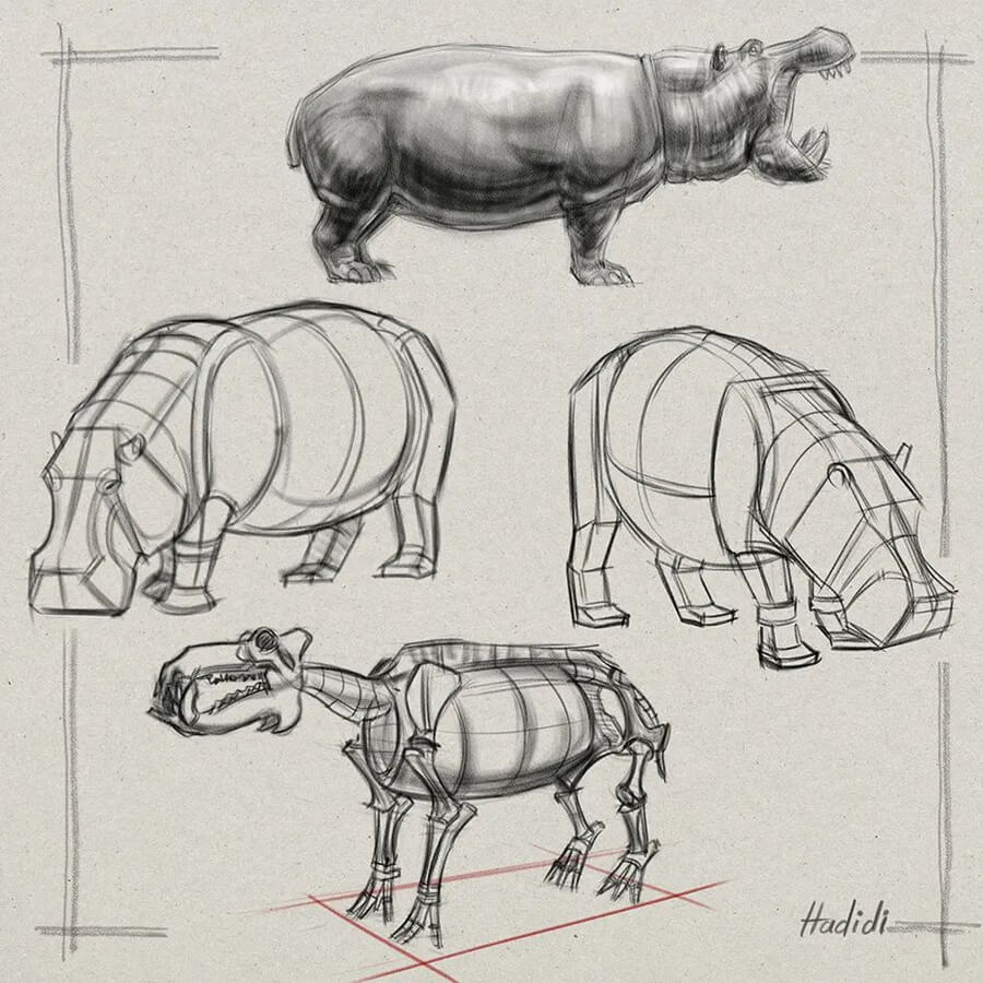 07-Hippo-Pencil-Tutorials-Hamid-Hadidi-www-designstack-co