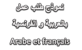 نموذج طلب عمل بالعربية و الفرنسية Exemplaire d'un demande d'emploi Arabe e français 