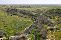 Eshkol Nationaal Park, de Negev-woestijn