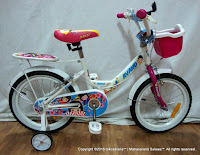16 Inch Avand Aiko Kids Bike