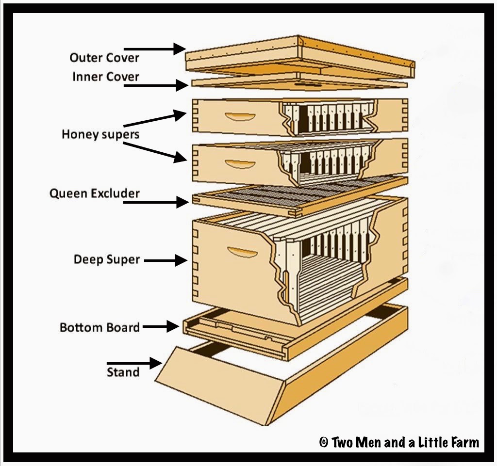 Langstroth Hive Diagram Two men and a little farm: parts of a beehive 