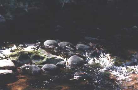 Boyne River