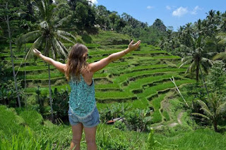 Dicari tanah sewa area Denpasar, Ubud & Sekitarnya.